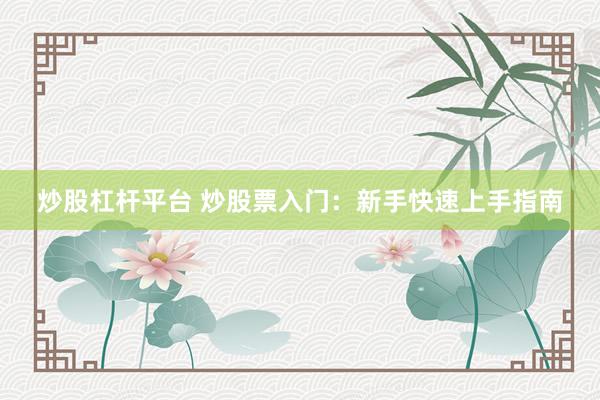 炒股杠杆平台 炒股票入门：新手快速上手指南