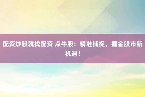 配资炒股就找配资 点牛股：精准捕捉，掘金股市新机遇！