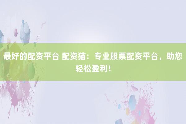 最好的配资平台 配资猫：专业股票配资平台，助您轻松盈利！