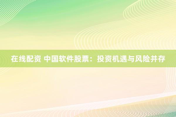 在线配资 中国软件股票：投资机遇与风险并存
