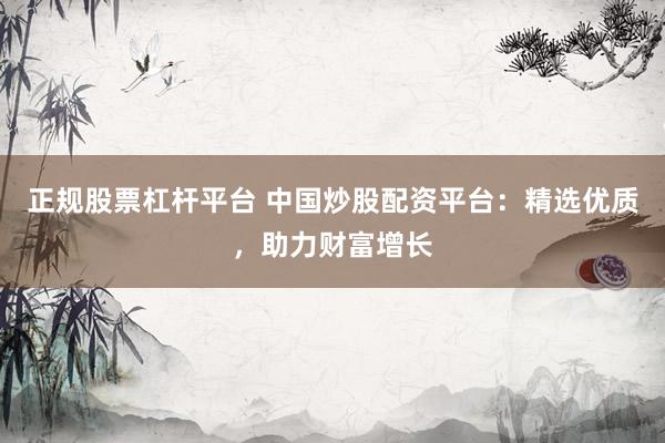 正规股票杠杆平台 中国炒股配资平台：精选优质，助力财富增长