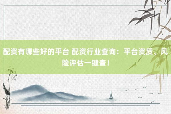 配资有哪些好的平台 配资行业查询：平台资质、风险评估一键查！