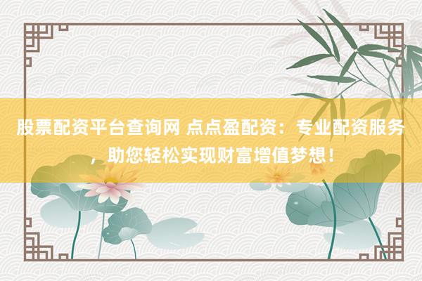 股票配资平台查询网 点点盈配资：专业配资服务，助您轻松实现财富增值梦想！