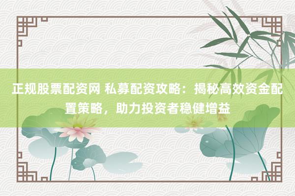 正规股票配资网 私募配资攻略：揭秘高效资金配置策略，助力投资者稳健增益