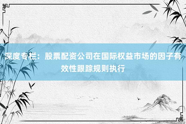 深度专栏：股票配资公司在国际权益市场的因子有效性跟踪规则执行