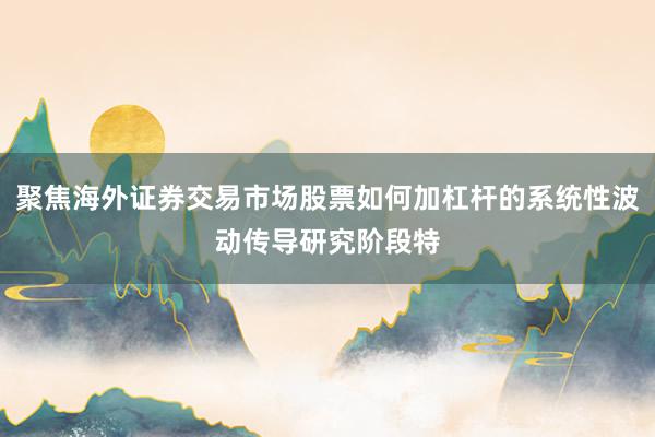 聚焦海外证券交易市场股票如何加杠杆的系统性波动传导研究阶段特