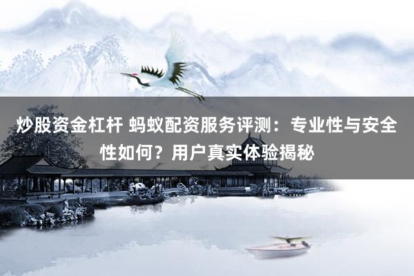 炒股资金杠杆 蚂蚁配资服务评测：专业性与安全性如何？用户真实体验揭秘